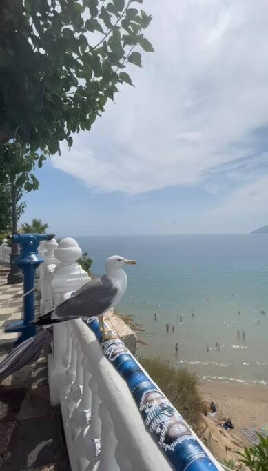 Ferienwohnung Apartamento Centrico Y En Primera Linea De Playa Benidorm Exterior foto