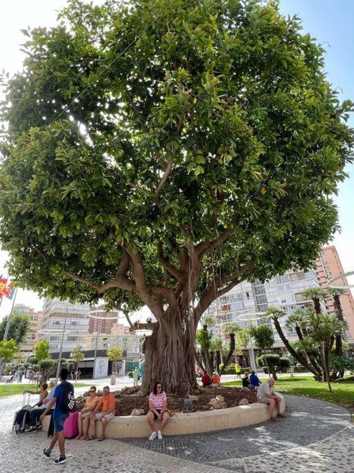 Ferienwohnung Apartamento Centrico Y En Primera Linea De Playa Benidorm Exterior foto